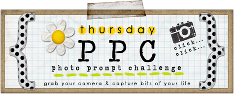 PPC header image