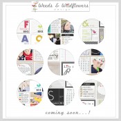 Sneak Peak!