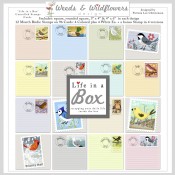 New Release…Desktop Calendar…and a Coupon New Release…Desktop Calendar…and a Coupon