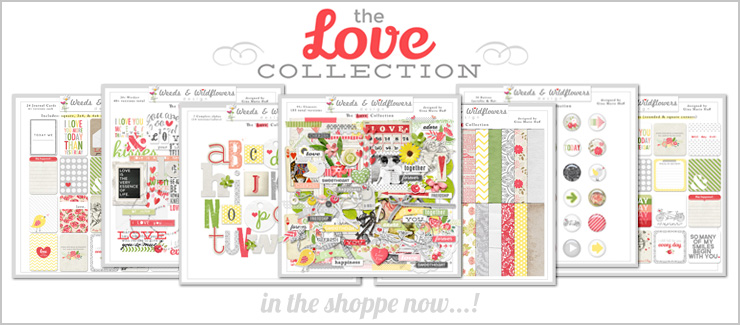 inshoppe-love